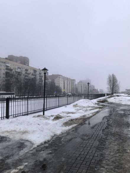 Весна 2026: когда календарь обгоняет погоду