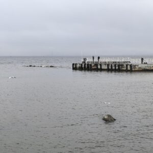 Причал в Петергофе