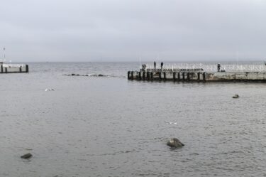 Причал в Петергофе