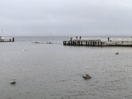 Причал в Петергофе