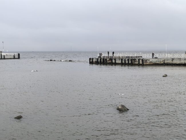 Причал в Петергофе