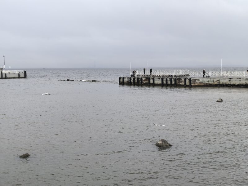 Причал в Петергофе